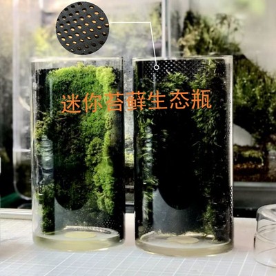 雨林水陆缸植物附生布沉木附着植纤生态棉保湿透气苔藓苔纤植纤布