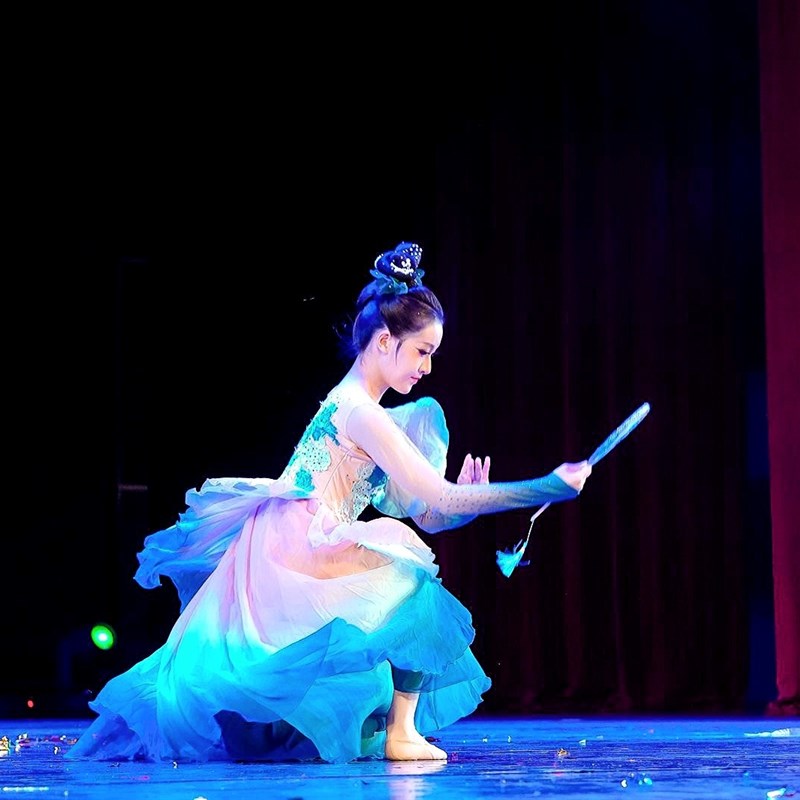 剧目醉清波舞蹈扇子新古典长柄团扇双面绣花成人儿童款表演出