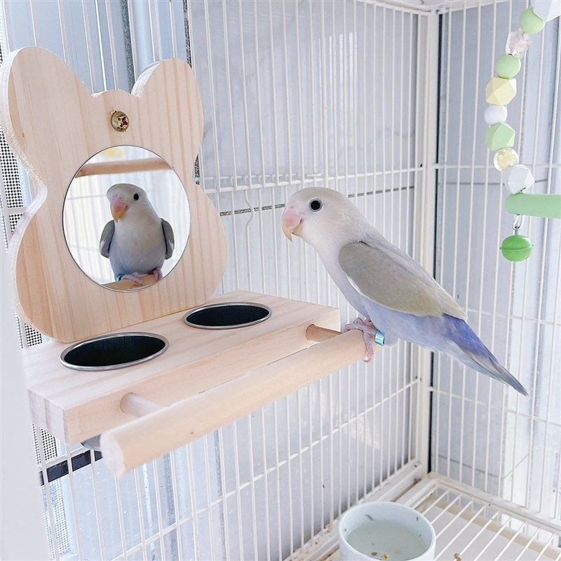 8玖-鹦鹉鸟用玩具鸟食盒饲料盒鸟笼配件虎皮牡丹镜子玩具鸟笼装饰,宠物/宠物食品及用品,鸟禽喂食器/喂水器,淘宝优惠券,粉丝福利购,淘宝优惠卷