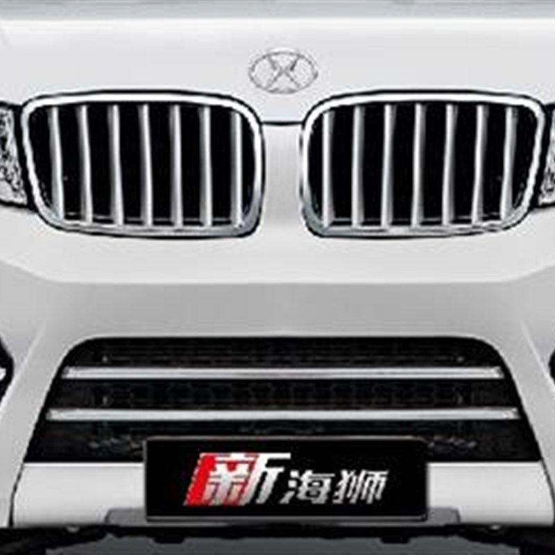 SRM鑫源好运脚垫新海狮X30L神州五号用皮革大包围防水车垫子,汽车用品/电子/清洗/改装,专车专用脚垫,淘宝优惠券,粉丝福利购,淘宝优惠卷