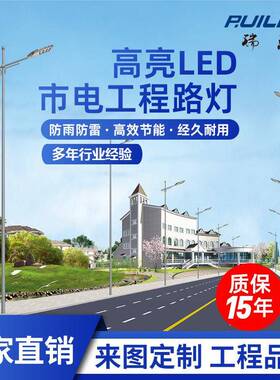 LED路灯道路单双臂市电4米6米8米10米60W户外照明灯精准配光节能