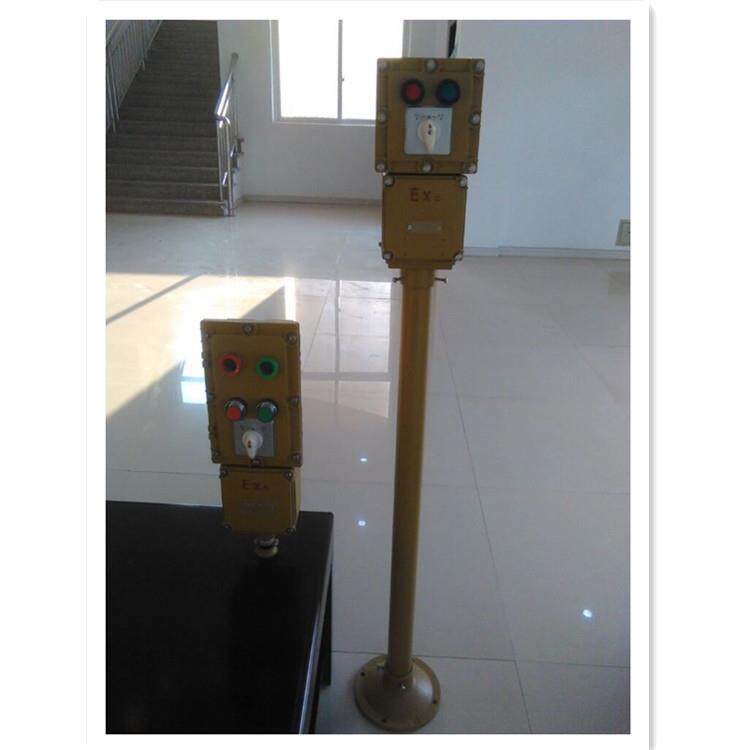 BZC51-D21L防爆现场操作柱开关按钮控制IIBT6铸铝操作柱立