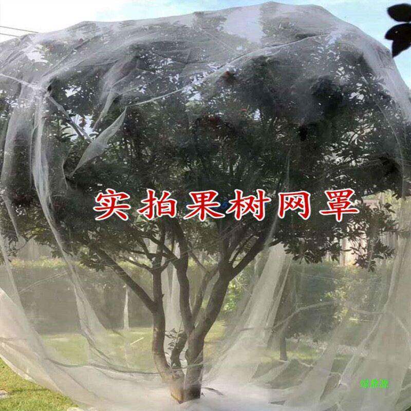 罩果树大鹏绿植樱桃防蚊网网杨梅猪场防鸟网防虫网樱桃蔬菜多肉网