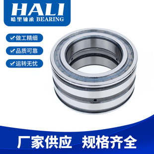 滑轮用轴承 圆柱滚子轴承 现货供应NAS5040ZZNR轴承 满装