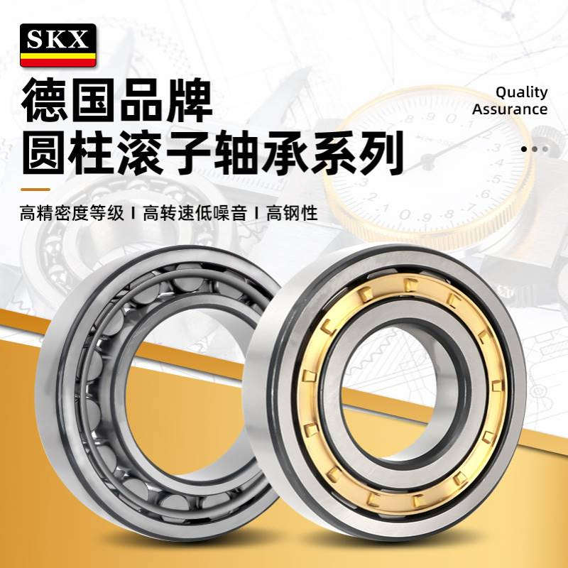 德国SKX高速轴承SL045008PP SL045026PP SL045032PP 精密轴承