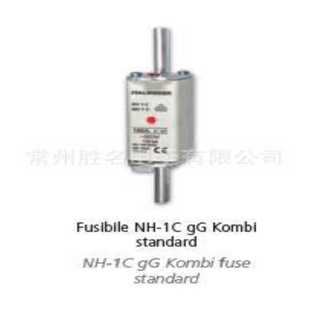 ITALWEBER 120KA 保險絲管體 500V 160A Nh1 熔斷器NH1C