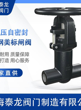 PZ11H-2500LB中泰龙锻钢自密封闸阀内螺纹丝口磅级蒸汽用SW.NPT阀