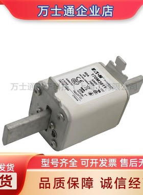 170M4061 170M4062 170M4063 170M4064 170M4065 170M4066熔断器