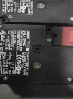 电磁安全门锁D4NL-1DFA-BS/D4NL-2HF~
