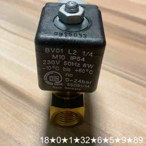 Rapa 电磁阀，型号BV01 L2 1/4，230