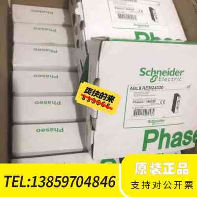 ABL8 REM24030 电源模块ABL8RE议价
