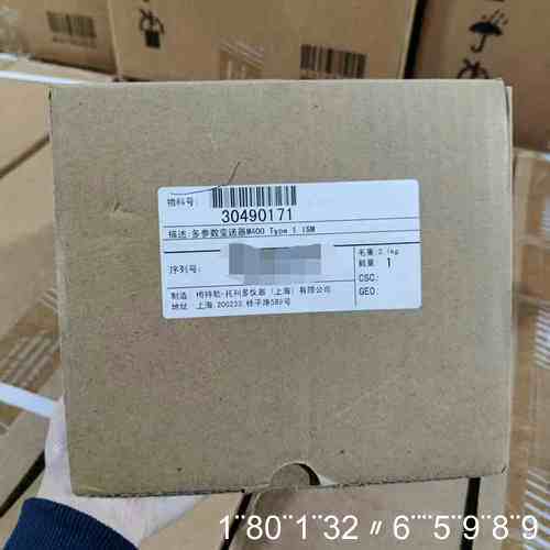 ，M400多参数变送器，30490171，Type 1