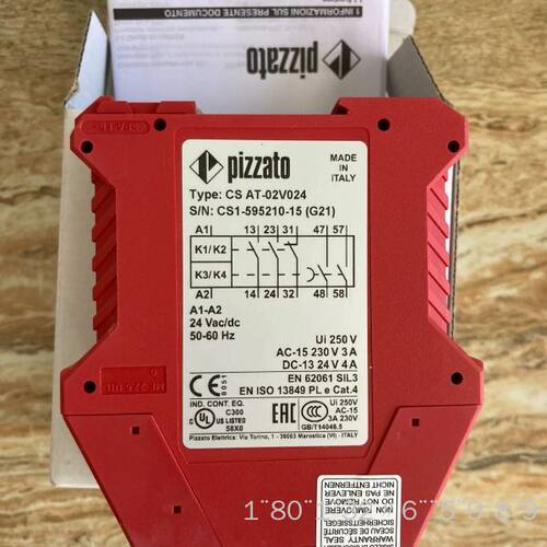 Pizzato继电器，型号CS AT-02V024。