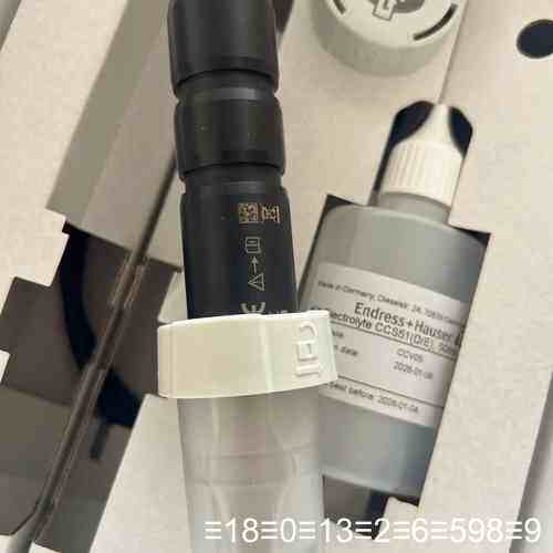 EH EndressHauser CCS51余氯传感器议价