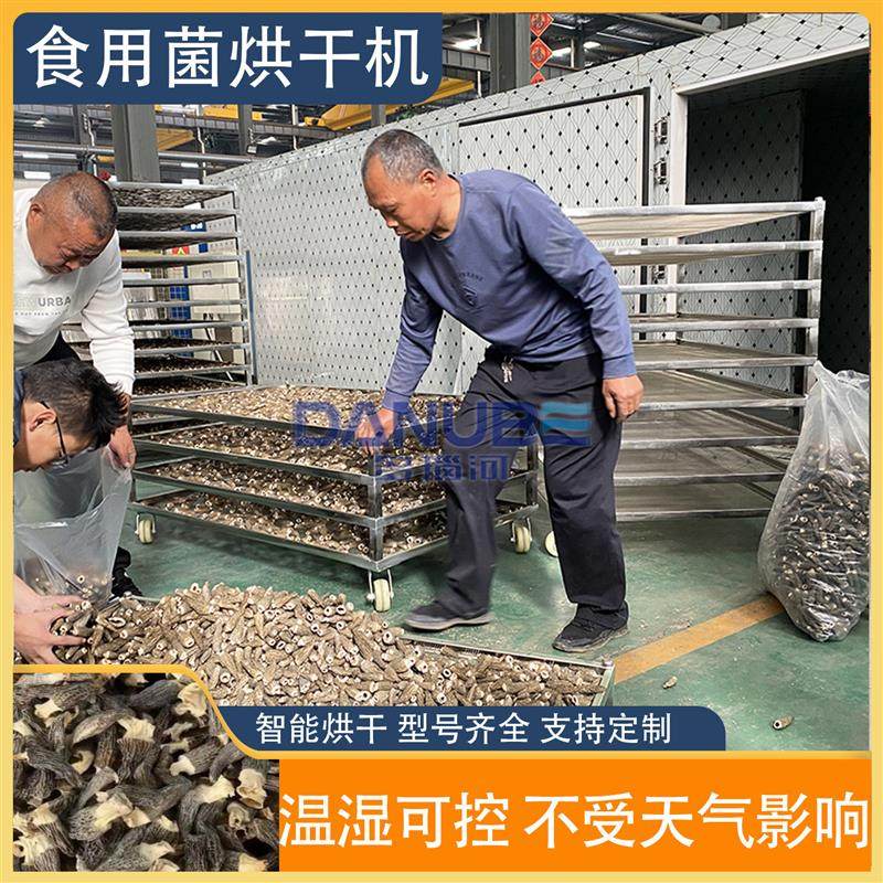 蘑菇香菇烘干机 全自动羊肚菌竹荪野生菌菇干燥机 食用菌烘干设备