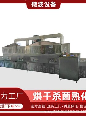 流水线式有机物干燥机 高岭土烘干设备 稀土氧化物微波烘干机