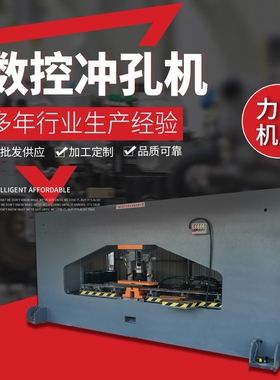 不锈钢数控冲孔机厂家生产多功能液压自动切割冲孔机冲孔剪切机