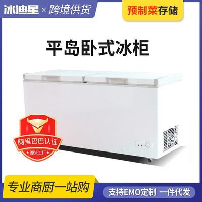 冷冻冰柜商用大容量冷藏柜一级节能家用冰箱卧式展示柜冷柜