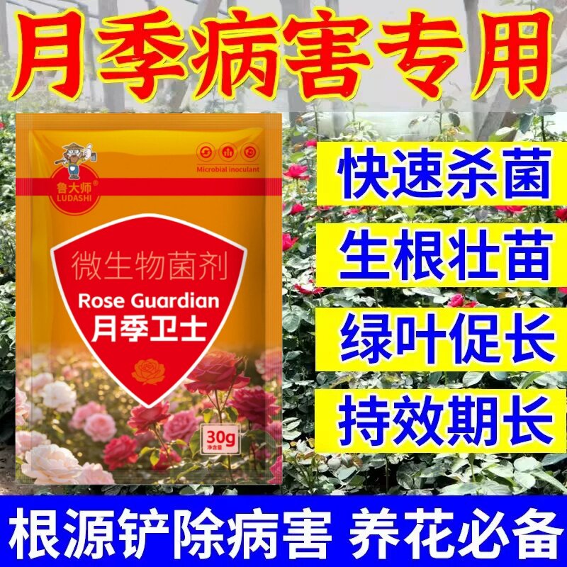 月季花黑斑病专用药多菌菌灵多肉叶面肥