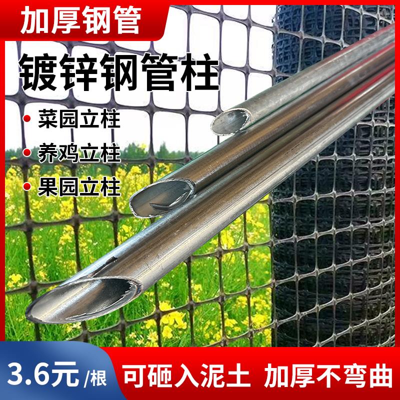 热镀锌钢管围栏立柱杆加厚尖头菜园角钢爬藤架养鸡支撑杆方管家用