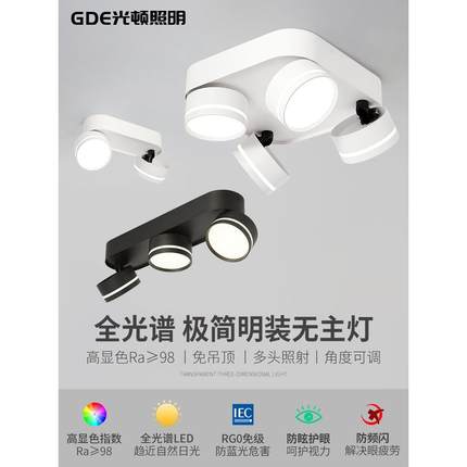 全光谱Led表面安装筒灯多头，双头，三头大胆灯，可调角度客厅家
