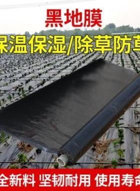 农用抗保暖水产养殖地膜膜膜塑B料薄膜老化黑色底雾农资塘黑大