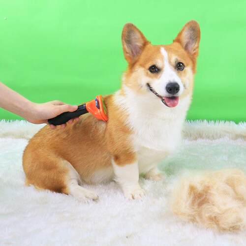 宠物狗狗梳子梳毛神器猫咪刷子柴犬柯基中小型犬去浮毛刷狗毛用品
