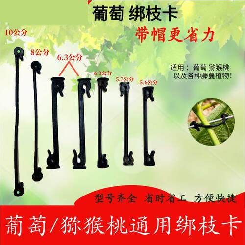 新款农用葡萄绑枝卡猕猴桃绑枝卡葡萄卡扣卡子葡萄绑枝扣