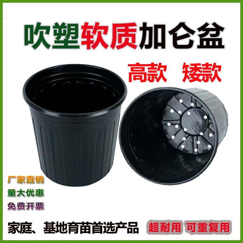 黑色加仑育苗盆家庭育苗推荐款木本植物专用黑色加厚育苗盆