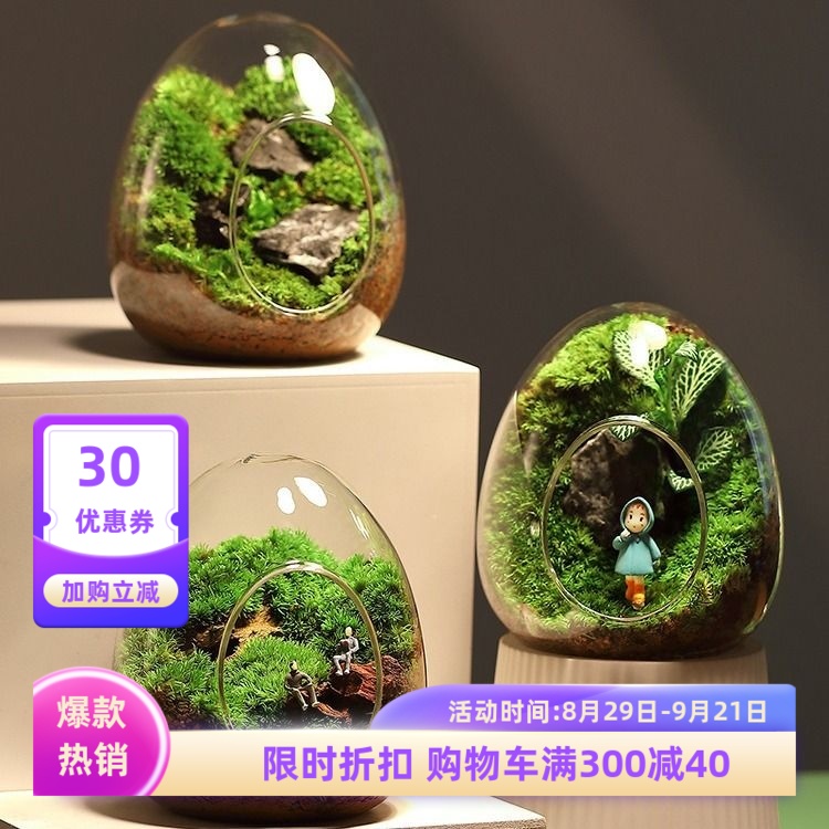 解闷观赏绿植可爱感受植物