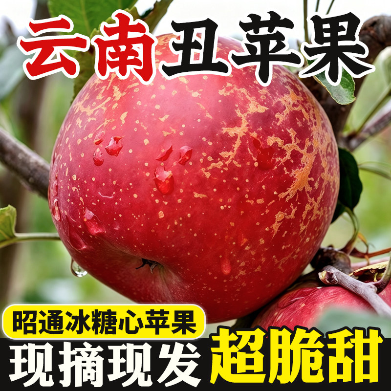 云南昭通市丑苹果正宗冰糖心红富士苹果现摘当季红露新鲜水果整箱
