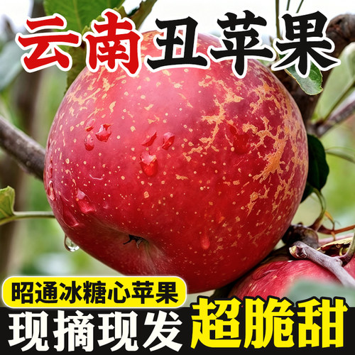 云南昭通市丑苹果新鲜水果冰糖心