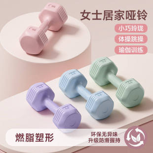 哑铃女士健身家用2kg3kg一对女生力量锻炼塑形男女青少年小巧哑铃
