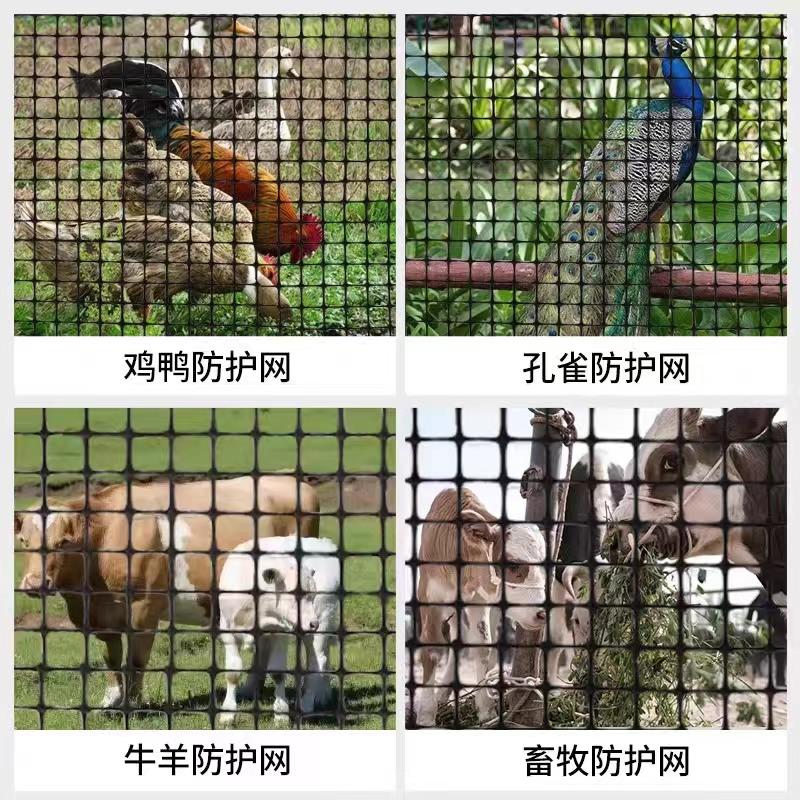 塑料网格防护养殖菜园栅栏户外拦鸡网子圈玉米漏粪脚垫养鸡围栏网