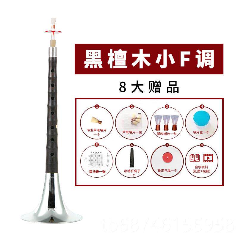 新款新艺演奏专业乌木呐乐器全套dD初学者入门小号唢调喇叭哨调片