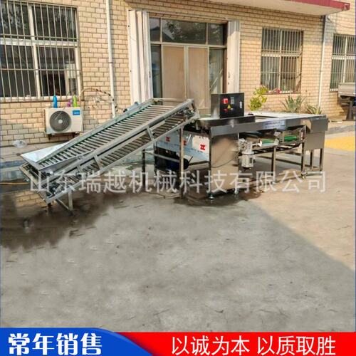 大枣李子分级筛选机 工业萝卜滚杠式筛选机 商用山楂百香果分级机