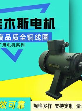 佳 木斯电机YBSD系列输送机用双速隔爆型三相异步电动机厂家直供