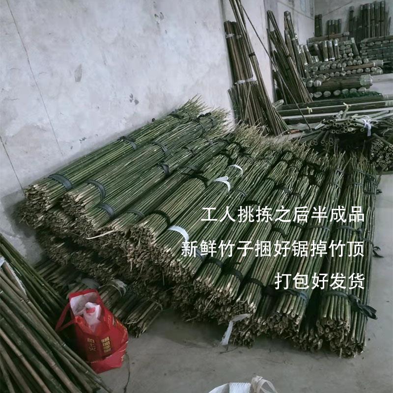竹竿菜园搭架豆角黄瓜番茄爬藤蔬菜大棚支架彩旗2米3米竹子支撑杆