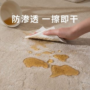 轻奢高级感隔音防摔暖色卧室 奶油风地毯客厅免洗可擦防水2024新款