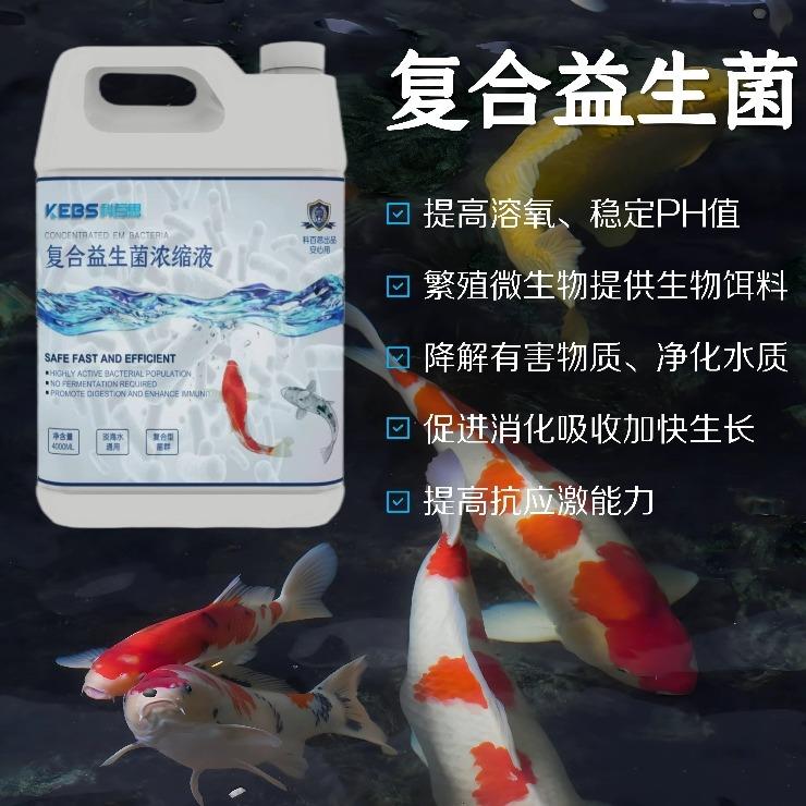 科百思KEBS浓缩EM菌原液水产促消化水族鱼池鱼缸净水菌群益生菌