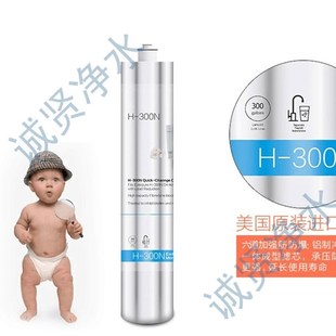 新款爱惠浦通用末端直饮机主滤芯净水器H300N主滤芯