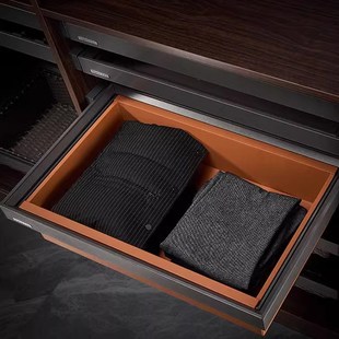 衣柜拉篮收纳藤篮伸缩阻尼推拉金属蓝储物抽屉式家用多功能皮革蓝