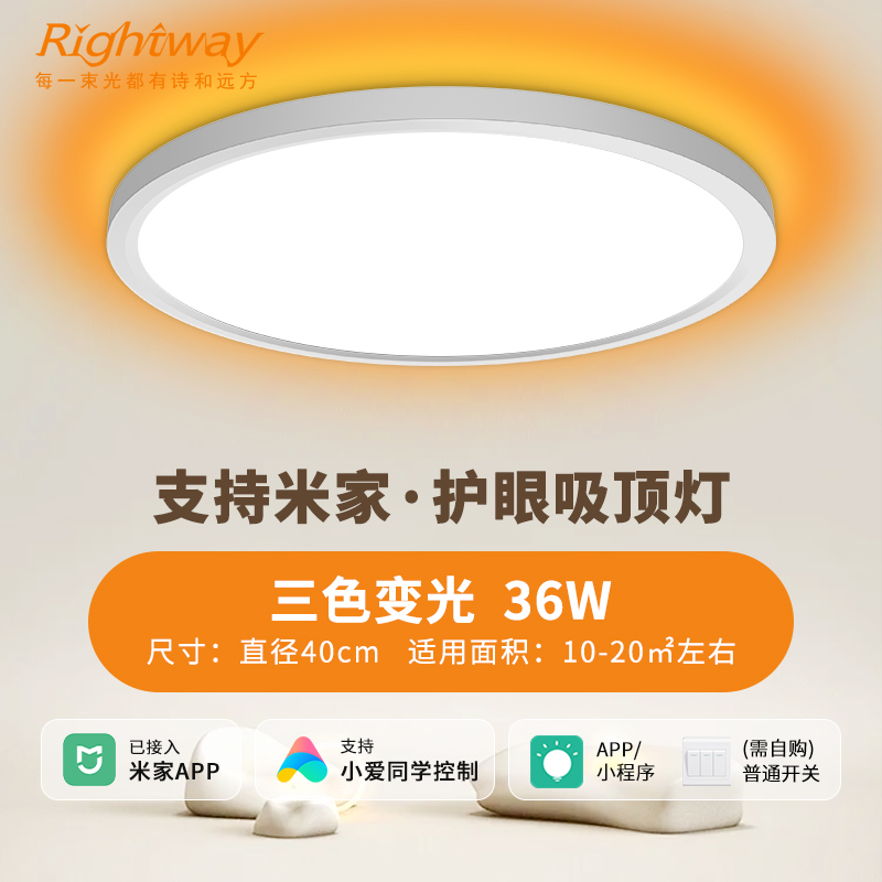 睿特唯超薄护眼吸顶灯/起夜/伴睡