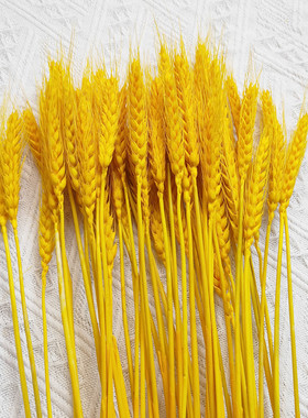 开业大麦金色真麦穗干花一箱100把一万支装花店花艺用品