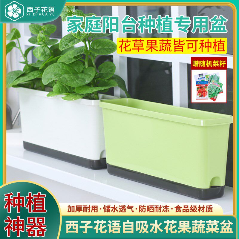 窄边阳台家用种菜盆长方形自吸水花盆塑料盆栽神器草莓专用盆加深