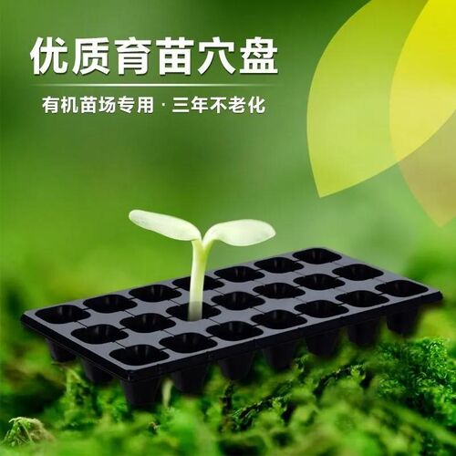 育苗盘育苗盆穴盘塑料杯种植营养钵蔬菜育种扦插盒农用托盘盆