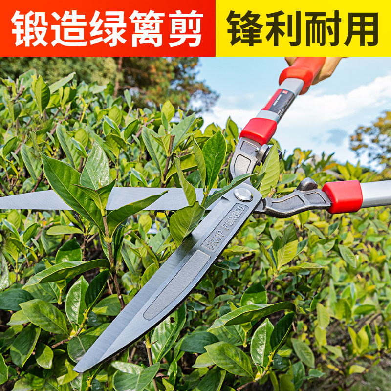 锻打修枝园艺剪刀绿篱剪草坪修剪修枝剪花草树枝剪粗枝园林大剪刀