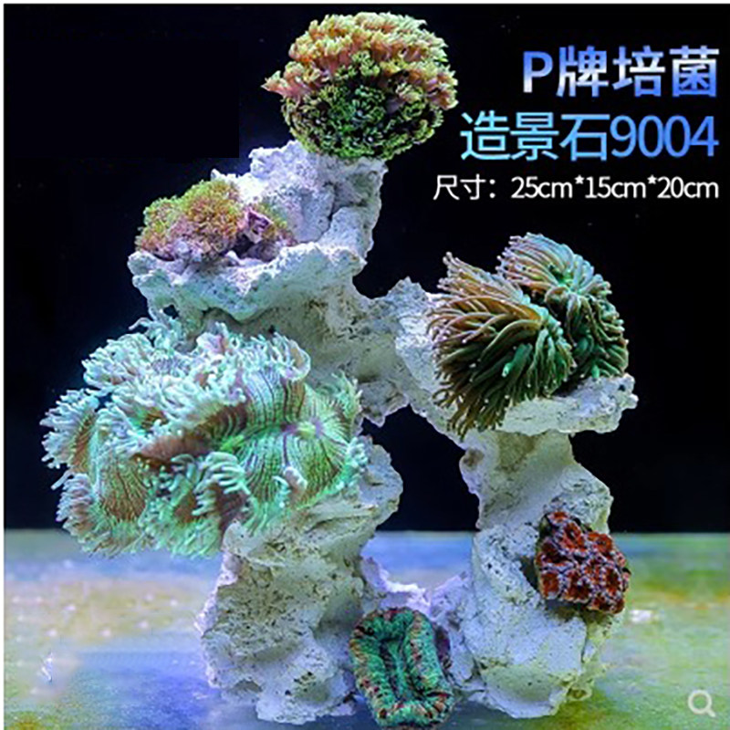 P牌造景石 生态培菌造景石 海水鱼缸造景石造型石小缸造景 免爆藻