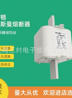 全新原装快速熔断器保险丝170M6083 170M6084 170M6103 170M6108