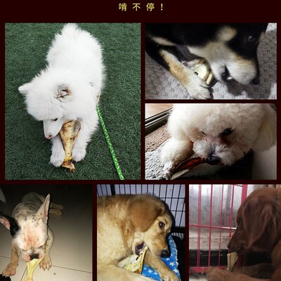 狗狗磨牙棒耐咬羊棒骨羊扇骨金毛二哈狗咬骨宠物狗咬胶补钙狗骨头